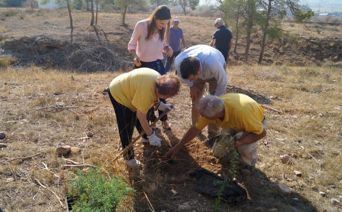 reforestacion-personas-mayores