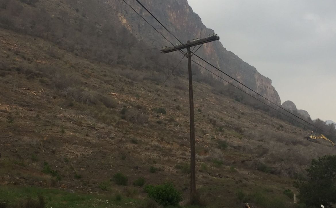 retirada-pinos-maquinaria