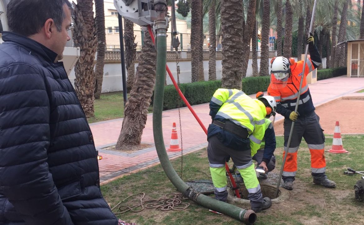 Trabajos limpieza El Palmeral