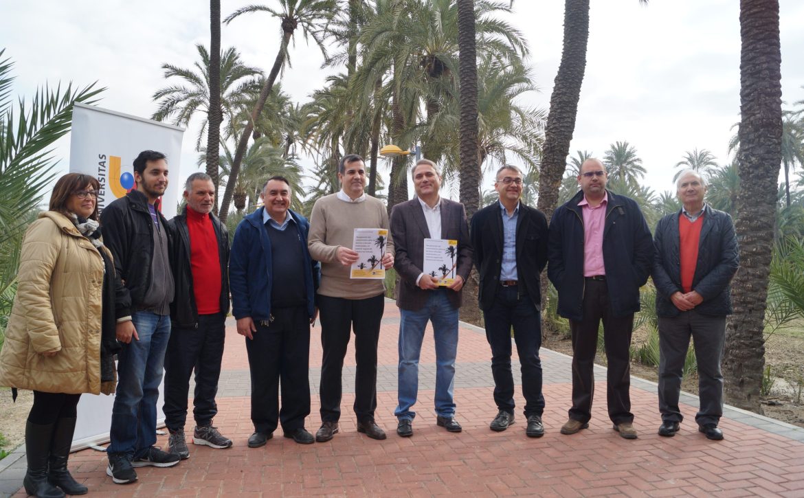 Libro Palmeral