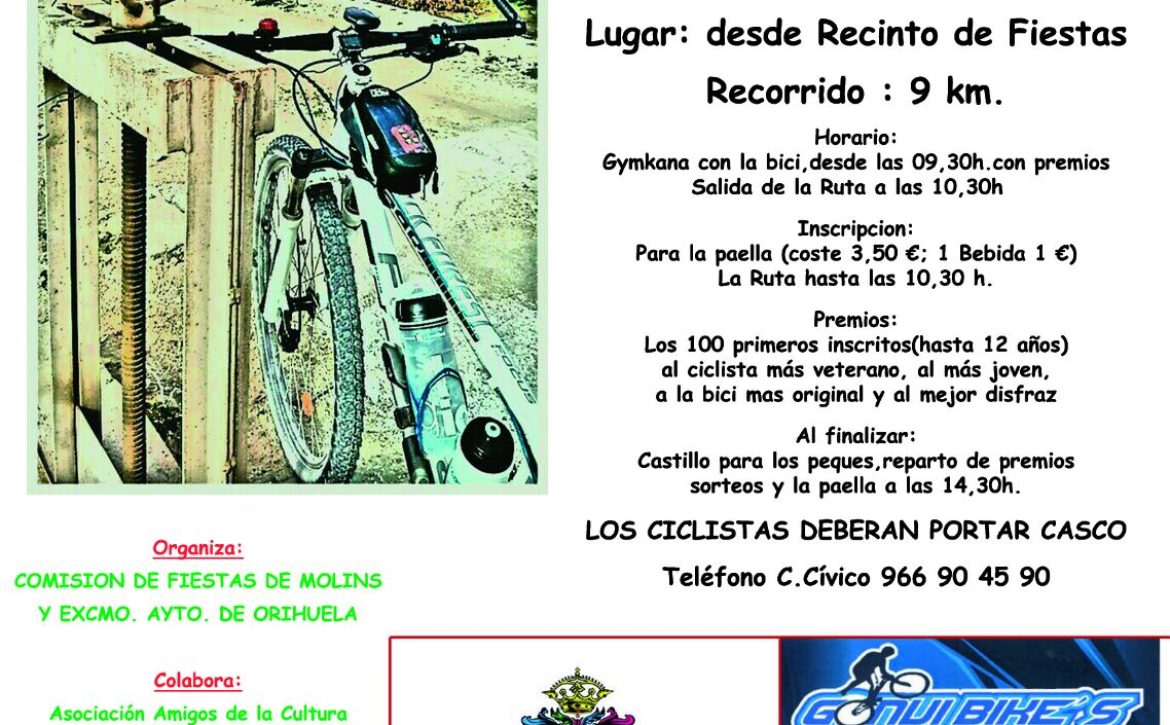 Molins Family Bike