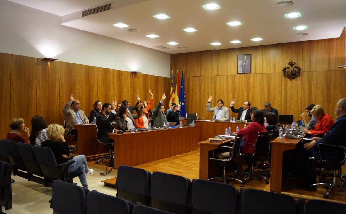 Pleno Extraordinario Atención Temprana