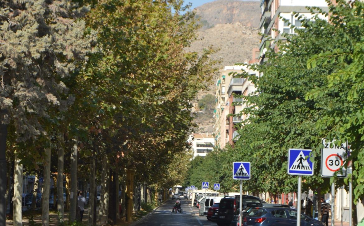 andenes orihuela infraestructuras
