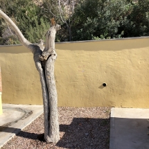 fachada_02