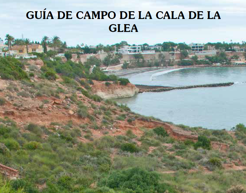 Guía de campo de la Cala de La Glea