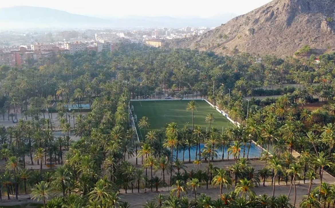 Foto-Palmeral