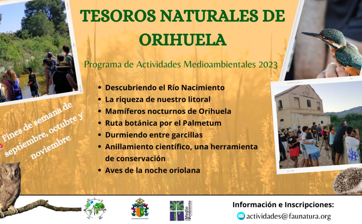 Tesoros-naturales