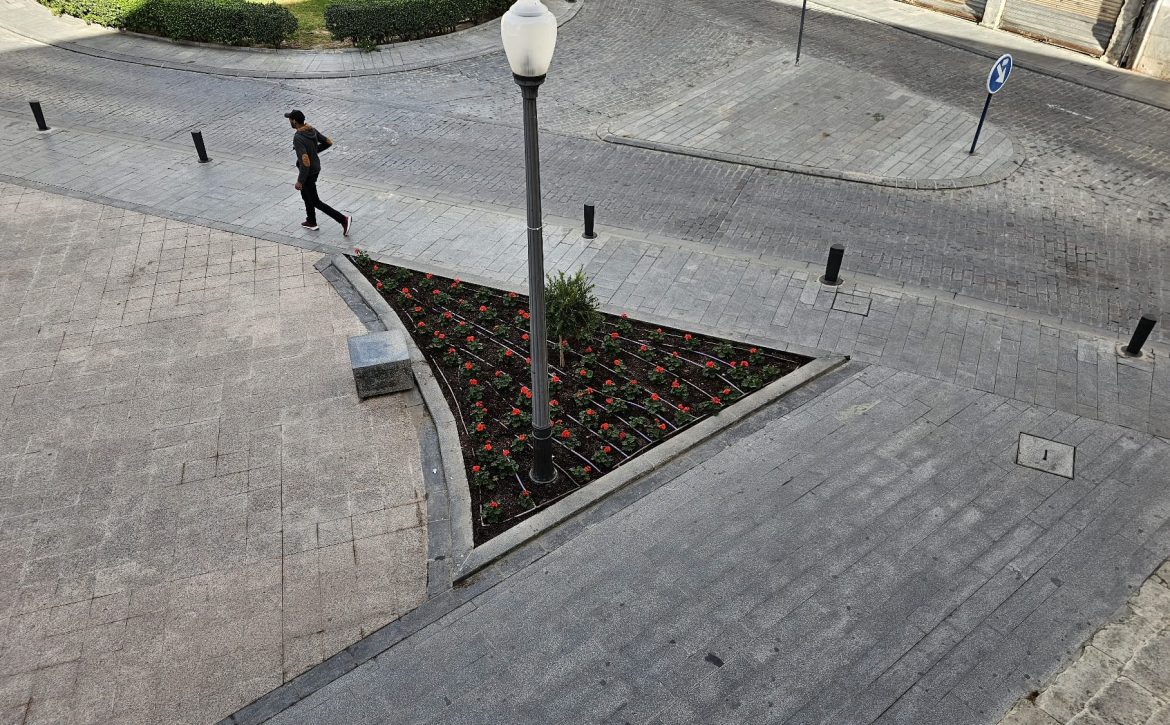 Plantas-1