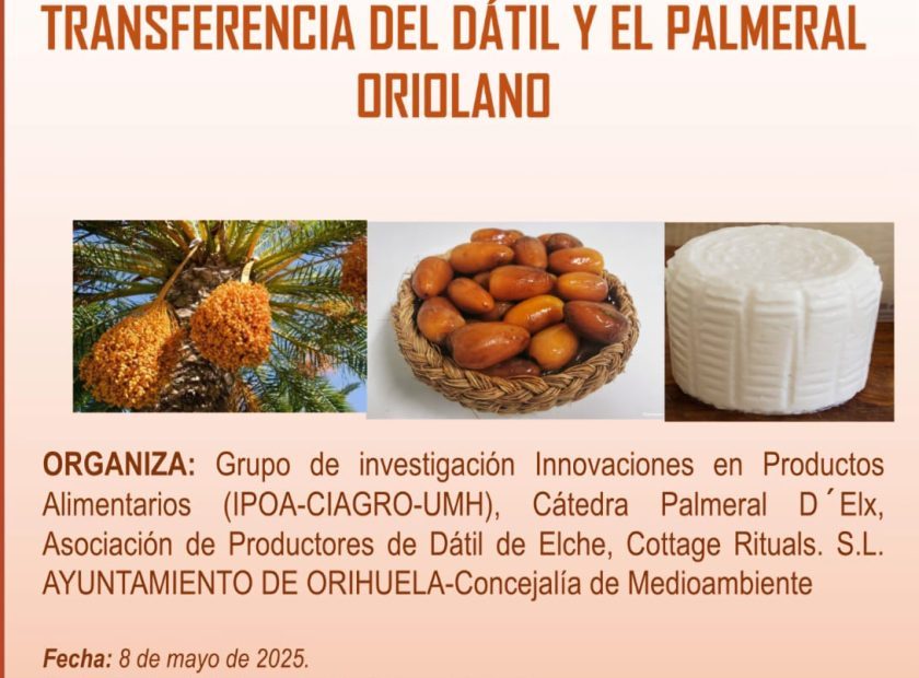 Cartel 1 el Palmeral