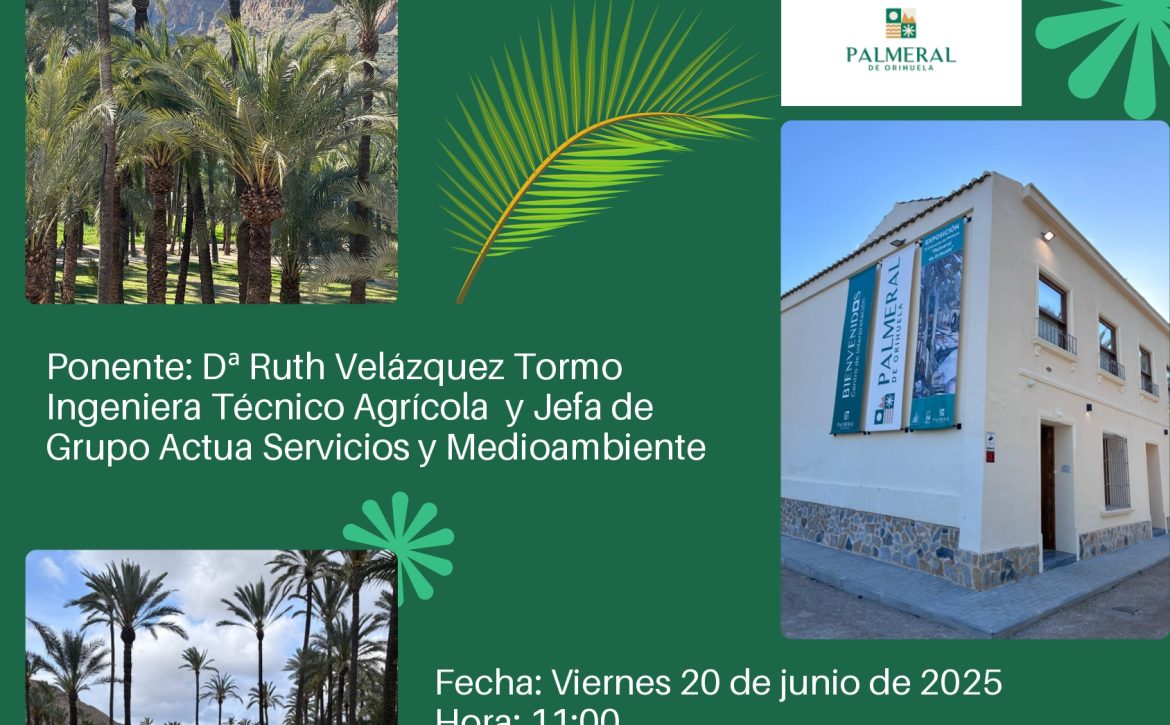 Poste I Jornada Juntos por el futuro del Palmeral_page-0001 (2)