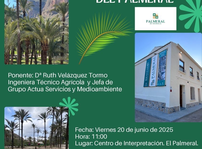 Poste I Jornada Juntos por el futuro del Palmeral_page-0001 (2)