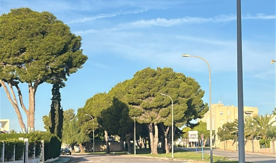 El Ayuntamiento de Orihuela licita la renovación del alumbrado público en la costa con una inversión de más de 416.000 euros