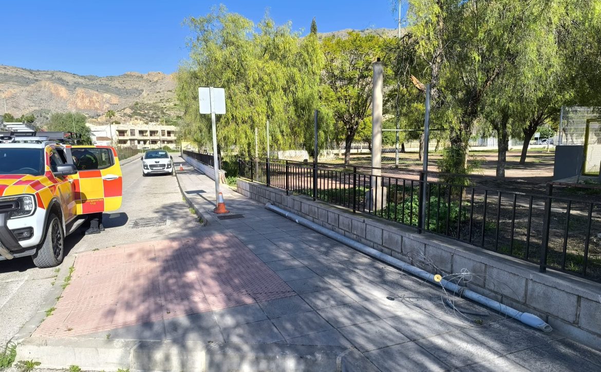 WhatsApp Image 2026-02-14 at 13.45.54