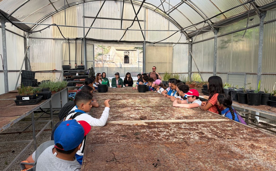 Actividades El Palmeral