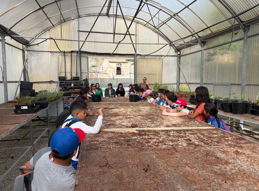 Actividades El Palmeral