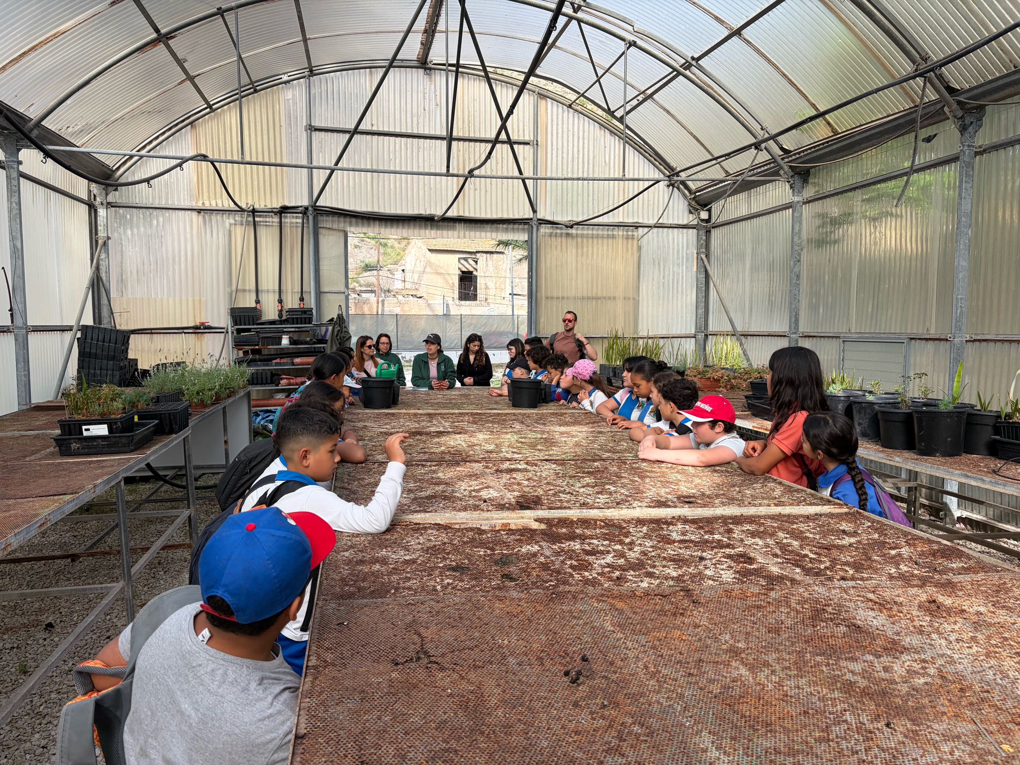 Medio Ambiente continúa con el programa ‘Crece con tu Palmeral’ para acercar a los escolares al valor ambiental y patrimonial del BIC