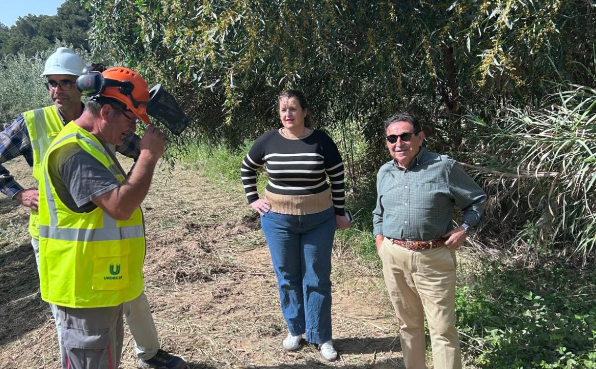 Limpieza y mantenimiento de cauces (4)
