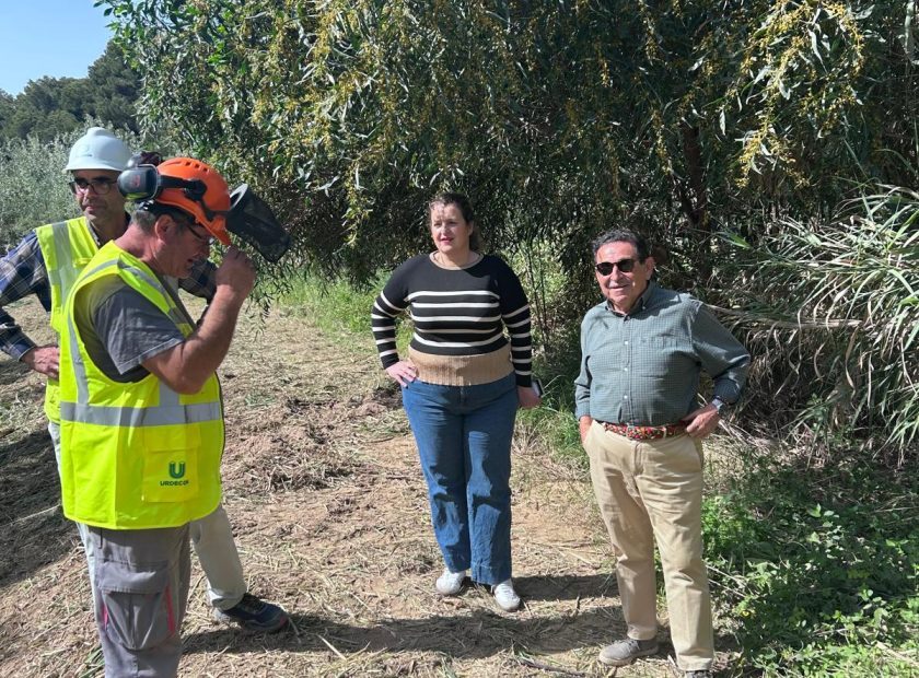 Limpieza y mantenimiento de cauces (4)