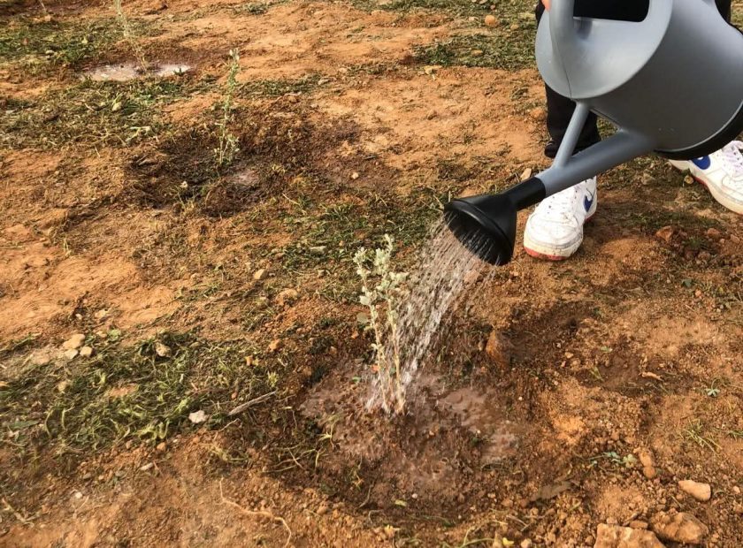 Subvenciones medio ambiente