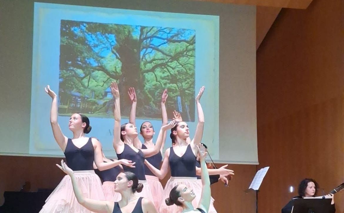 Aula de Danza