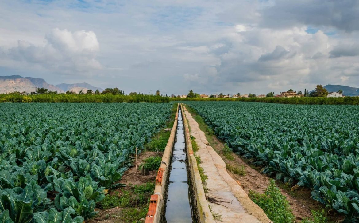 Foto archivo agricultura