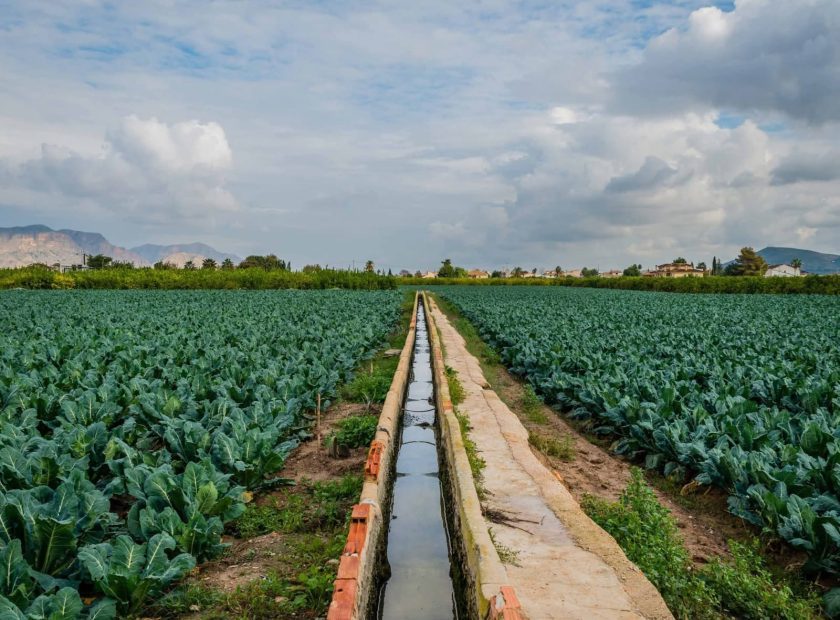 Foto archivo agricultura