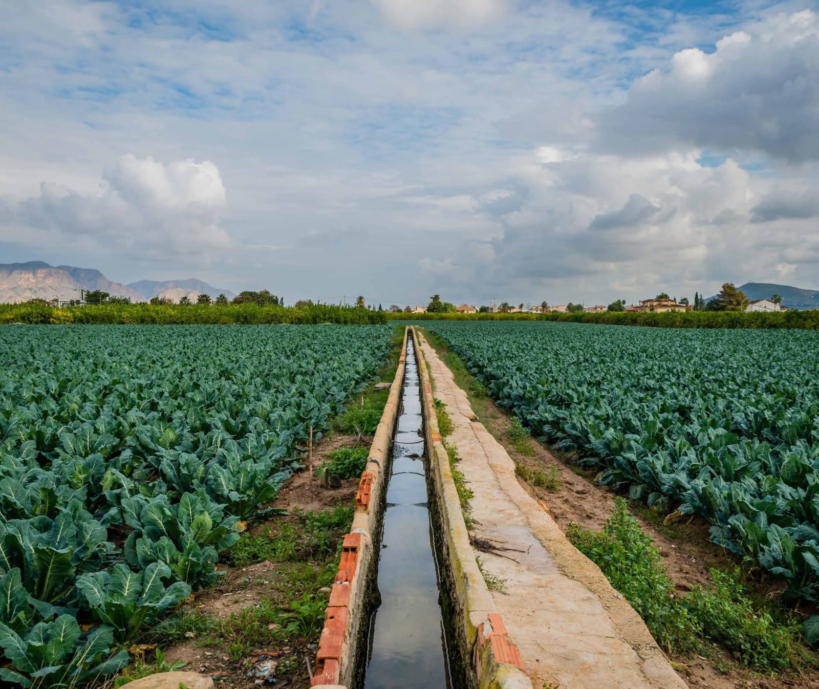 Foto archivo agricultura