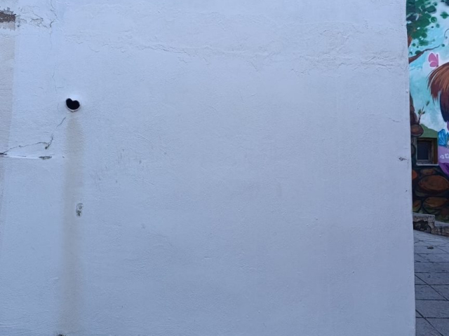 Fachada número 7 - Dimensiones de 2,50 m x 2,20 m