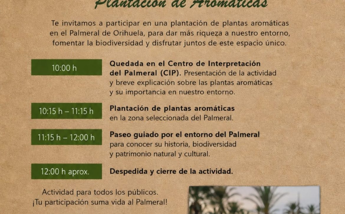 Plantación de aromáticas