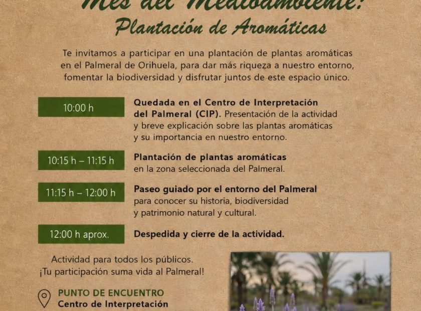 Plantación de aromáticas