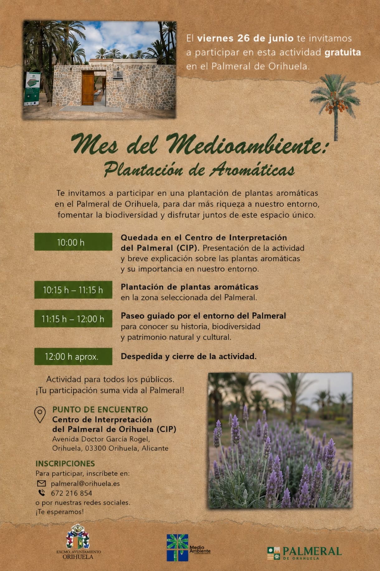 Plantación de aromáticas