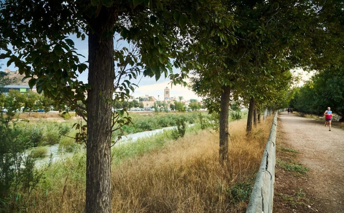 Refluye mi río (3)
