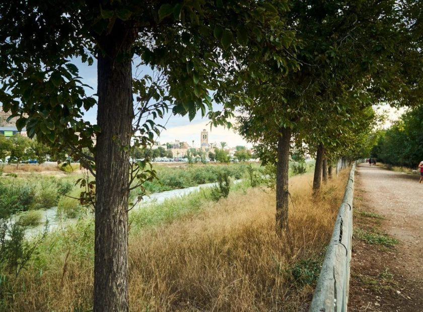Refluye mi río (3)