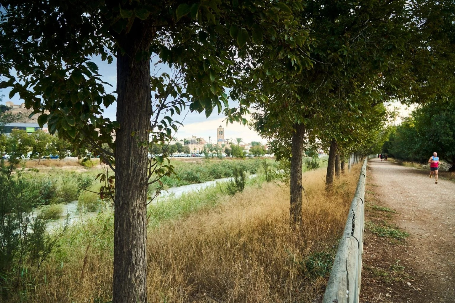 Orihuela cumple los objetivos de ‘Refluye Mi Río’ y recibirá 3,3 millones de la Fundación Biodiversidad