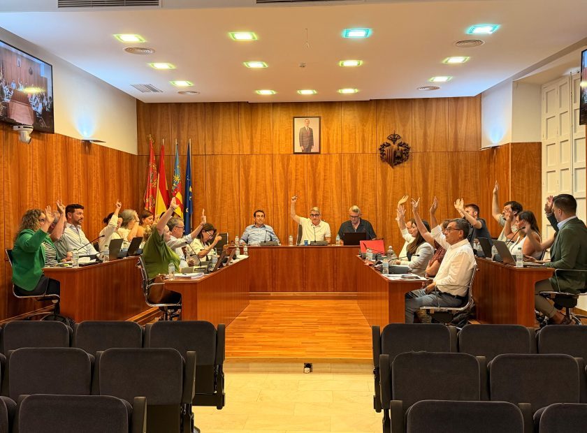 Foto pleno julio votación