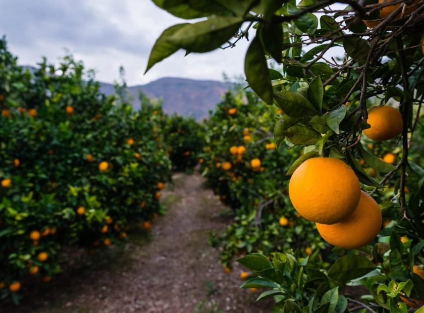 Recursoagricultura