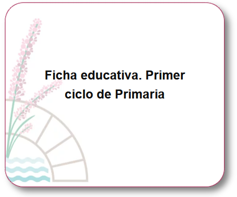 Imagen de fondo de la ficha educativa. Primer ciclo de Primaria.