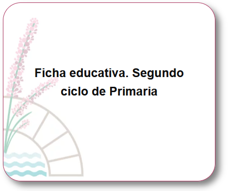 Imagen de fondo para la ficha educativa. Segundo ciclo de Primaria.