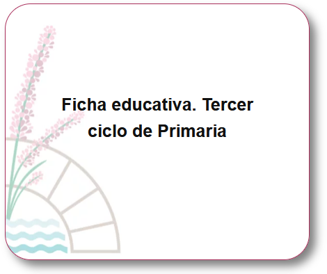 Imagen de fondo para la ficha educativa. Tercer ciclo de Primaria.