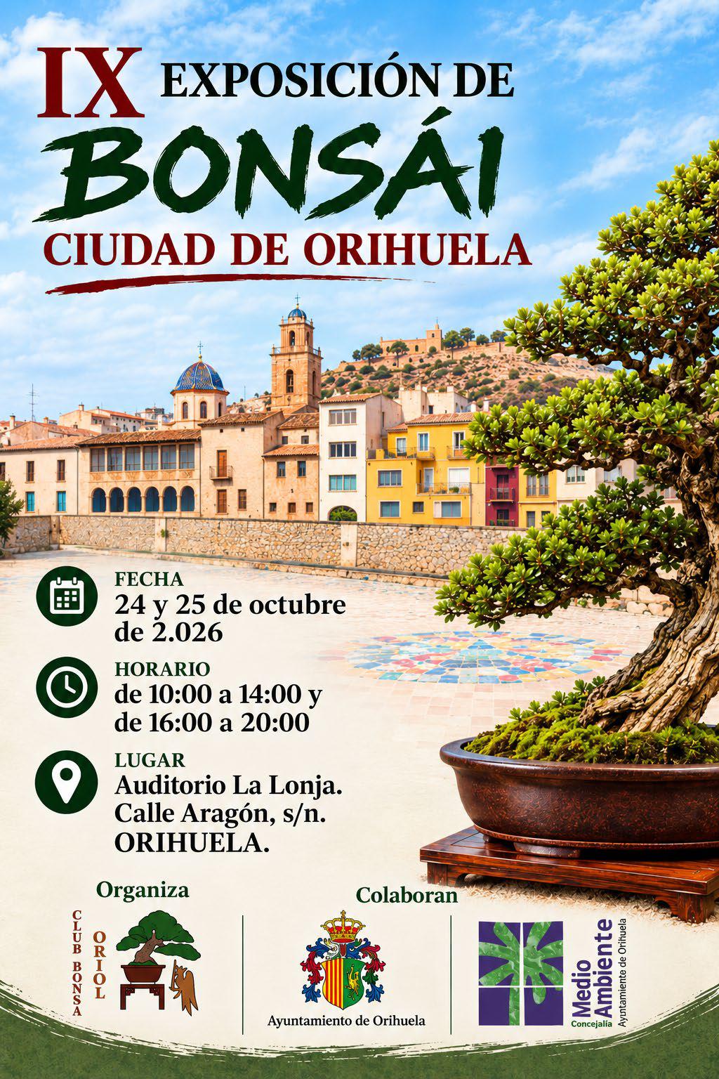 Orihuela acoge este fin de semana la IX Exposición de Bonsáis 'Ciudad de Orihuela' con cerca de 50 ejemplares