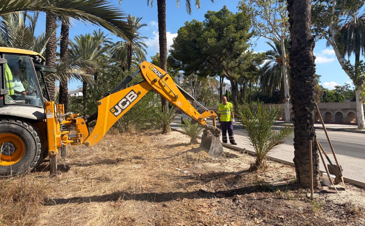 Foto 2 el palmeral