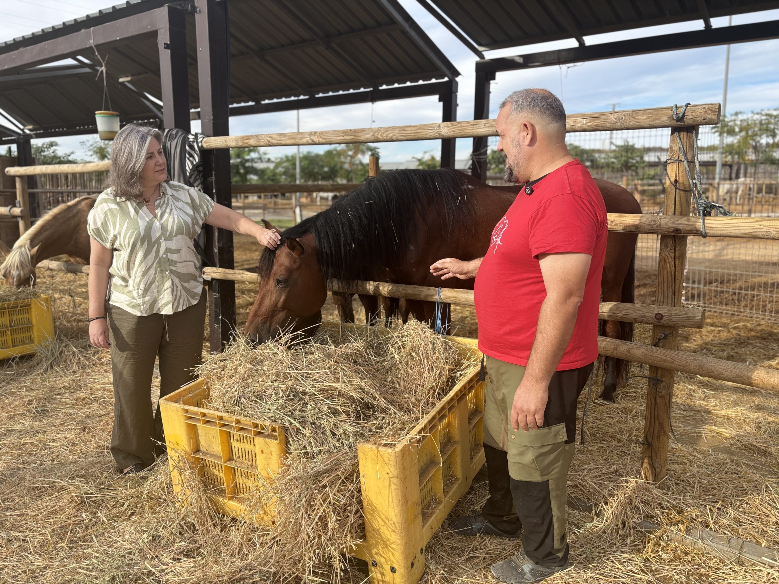 Familia Orihuela impulsa un programa de terapia con caballos rescatados para menores con discapacidad
