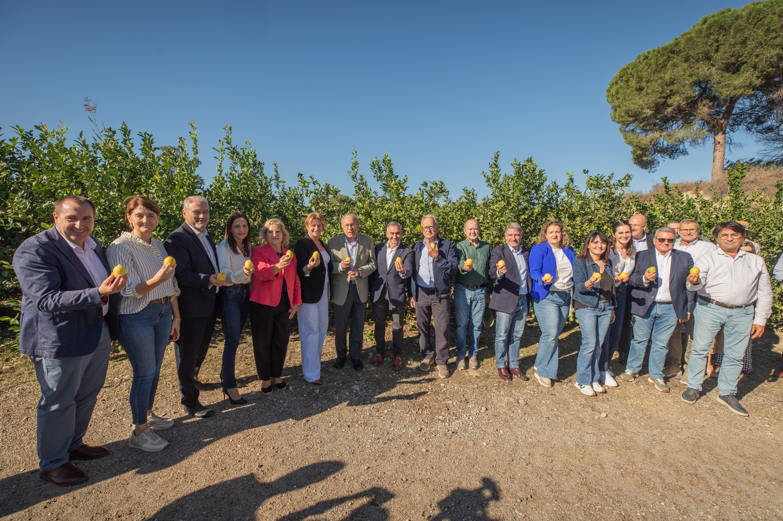 Orihuela estrena el ‘Corte del Limón’ para poner en valor su agricultura y el trabajo de quienes mantienen viva la huerta
